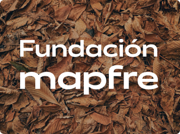 https://www.fundacionmapfre.org/