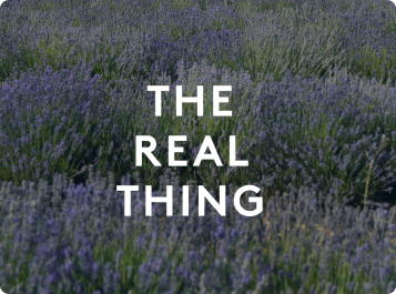 https://therealthing.es/
